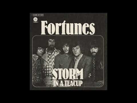 The Fortunes - I'm Not Following You (Stereo Recording)