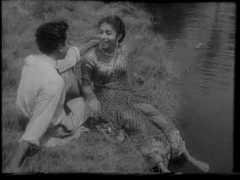 ලංකාරෙන් මලක් පිපි - දර්මදාස යුවල