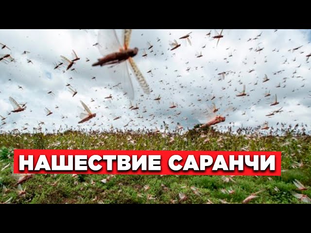 Новости. Выпуск от 10.07.2023 г.