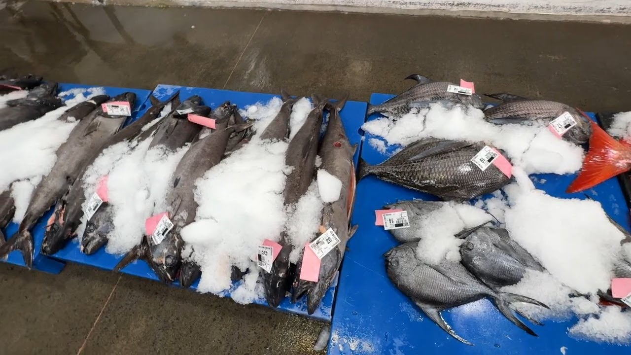 Honolulu Fish Auction sees record ahi catch for New Year's feast