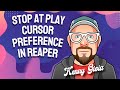 Stop at Play Cursor - Preference in REAPER