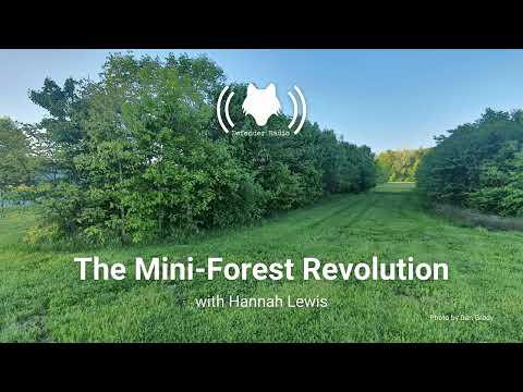 The Mini-Forest Revolution with Hannah Lewis