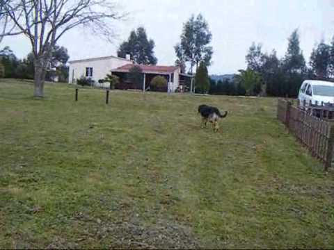 Rocco para Maricarmen