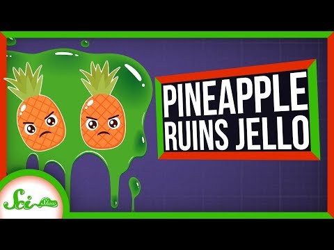 【英語で雑学】パイナップルのゼリーはなぜ固まらない？