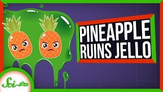 Why Do Pineapple and Kiwi Ruin Gelatin?