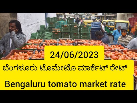 Bengaluru tomato market rate today/24/06/2023