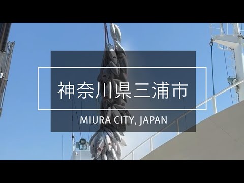 三浦市ロケーションPV