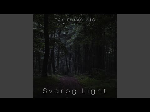 Так дихає ліс