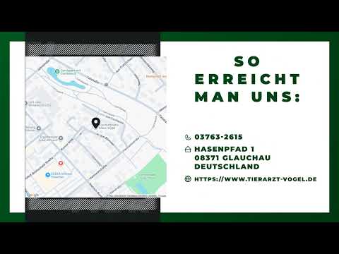 Tierarztpraxis Klaus Vogel YouTube-Vdeominiatur 5