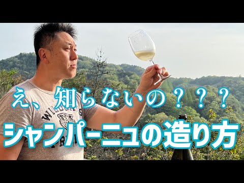 シャンパーニュ城について詳しく解説