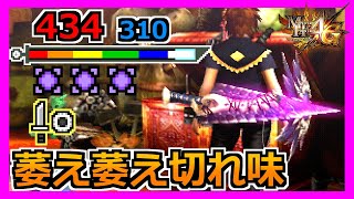 【MH4G】こういう武器が一番萎えるからホント勘弁してほしいの片手剣