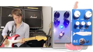 Video thumbnail for Selah Effects Misty Mountain Fuzz vs Matthews Effects The Whaler Fuzz by shnobel
