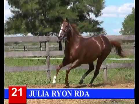 2016 - Lote 21 JULIA RYON RDA   Beduinos Ryon x Honey Streakin Big Streaking Six