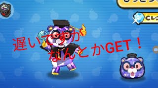 【ぷにぷに】遂にCうんちくまGET！無編集ですいません。