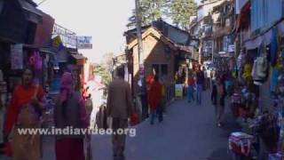 Shimla city scan