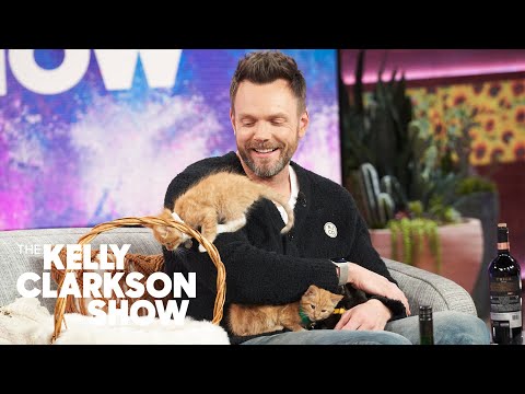 Kittens Hilariously Take Over Joel McHale's Interview With Kelly Clarkson
