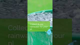 Ways To Reduce Water Consumption #waterconservation #savewater #carbonfootprint #ecofriendly