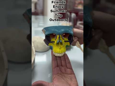 #anatomy101 #doctor #learning #hospital #anatomyzone #learning #anatomy