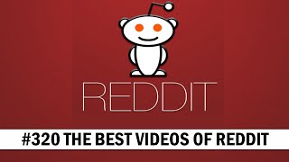 THE BEST VIDEOS OF REDDIT. NCAA Gymnastics floor routine. UCLA’s Nia Dennis