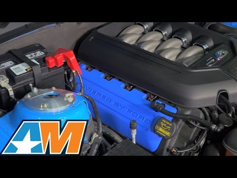 2011-2017 Mustang Ford Racing BOSS 302 Coil Covers - Blue (GT & BOSS) Review & Install