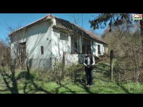 Bakonyi tanya, parasztház a Bakonyban eladó