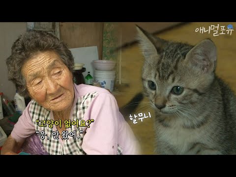 아이콘