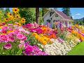 You Won T Believe This Flower Garden Is Real A Peaceful Escape For Your Mind