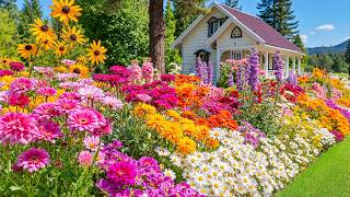 Download lagu You Won’t Believe This Flower Garden Is Real 🌸 A Peaceful Escape for Your Mind 💗 mp3 Download lagu You Won’t Believe This Flower Garden Is Real 🌸 A Peaceful Escape for Your Mind 💗 mp3
