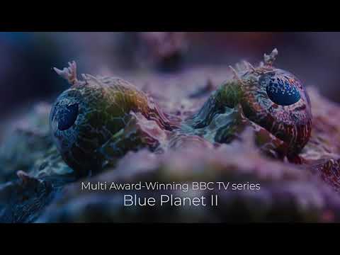 Blue Planet II Live | Australia |  Book Now