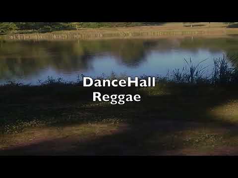 376 reggae  dancehall vibes instrumental