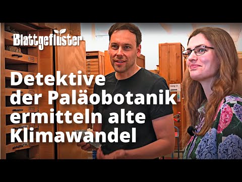 Vergangenem Klimawandel auf der Spur: Mittels Paläobotanik Ökosysteme und Klimadynamik verstehen