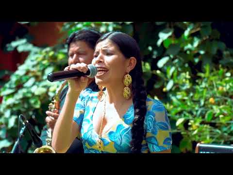 Delia Mercado y La Orquesta Nuevo Amanecer - Mi Ausencia  | En vivo 2023