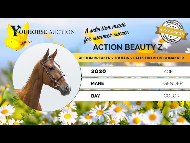 Action Beauty Z try out
