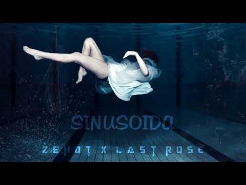 ŻEHOT x LAST ROSE - SINUSOIDA
