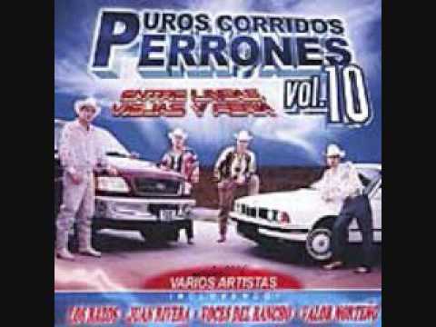 FLAMAZO NORTENO - EL REY DEL PERICO