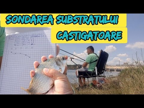 Feeder fishing on the Olt for crucian carp after looking for the perfect spot!!! How did I find t...