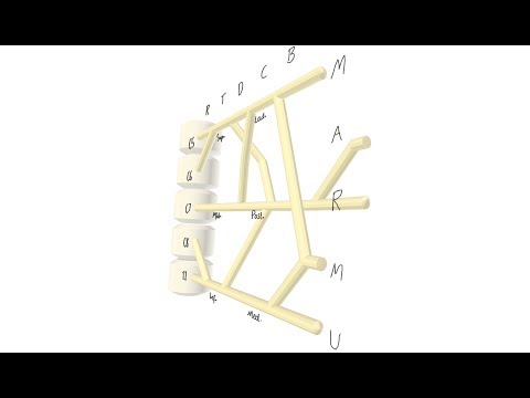 3D Brachial Plexus Mnemonics