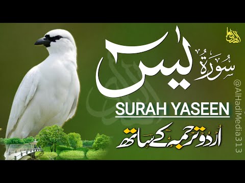 Surah Yaseen Urdu Tarjuma ke Sath | Heart touching Recitation | Episode - 512