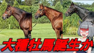 【新種牡馬ランキング】エフフォーリアはヤバい、サリオスがコントレイルを喰らうかも