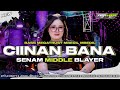 DJ CIINAN BANA FAUZANA BASS MEGATRUST MBEDIL NROTOK MIDDLE BLAYER CADELLEKSU RMX