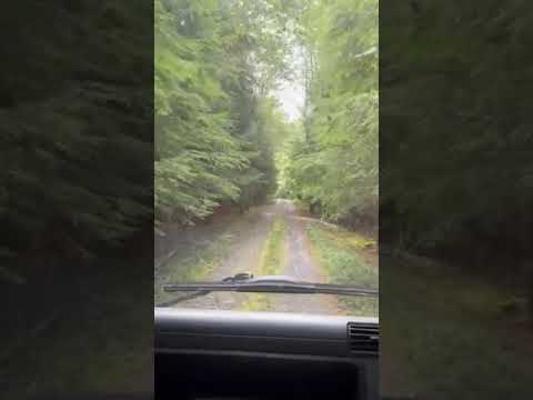 road coming in