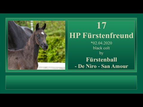 17 HP Fürstenfreund by Fürstenball - De Niro - San Amour