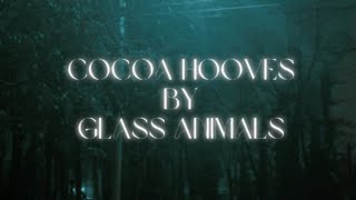 Cocoa Hooves by Glass Animals (lyrics)
