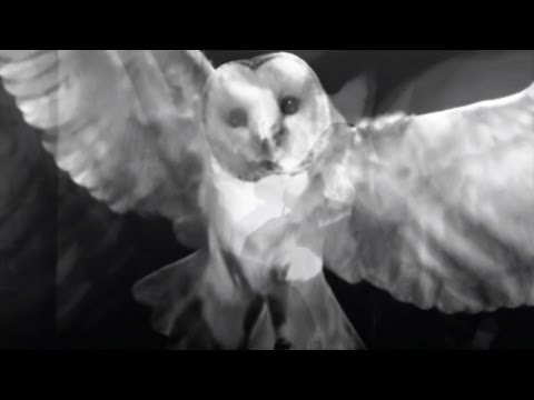 Cham Pion/TEWU "SØW∆" (prod.S.H.W)