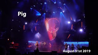 Pig (HQ) | The Gorge Night 2 | Dave Matthews Band | August 31st 2019
