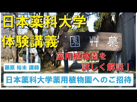 体験講義：「日本薬科大学薬用植物園へのご招待」