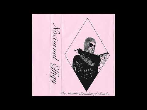 Nocturnal Effigy - The Moonlit Branches of Powder (Full Album) (Old School Dungeon Synth)