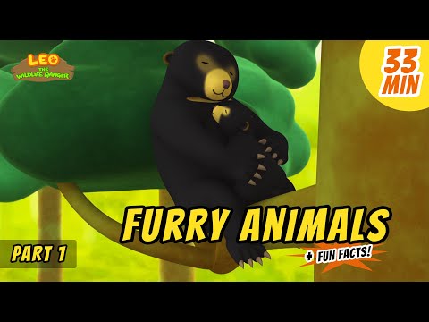 Furry Animals (Part 1/5) - Exciting & Educative Animals Stories for Kids | Leo the Wildlife Ranger