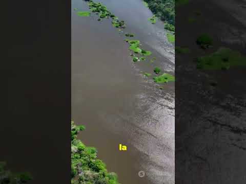 Puerto Maldonado la puerta secreta de la Amazonía peruana