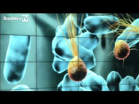 Il sollevamento per la persona un garnyer Borse frequenti sotto occhi